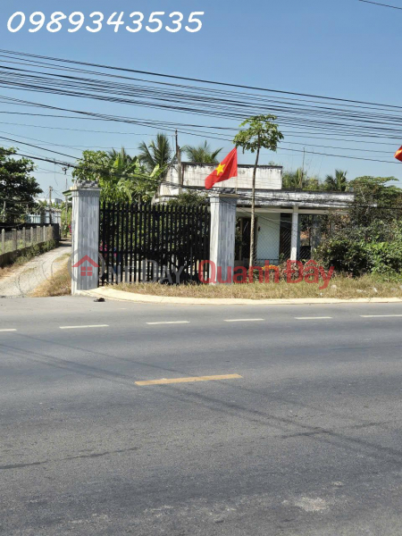 Property Search Vietnam | OneDay | Nhà ở Niêm yết bán Bán đất mặt tiền đường ĐT 825, Tân Mỹ, Đức Hòa, Long An, DT 480m2, giá đầu tư