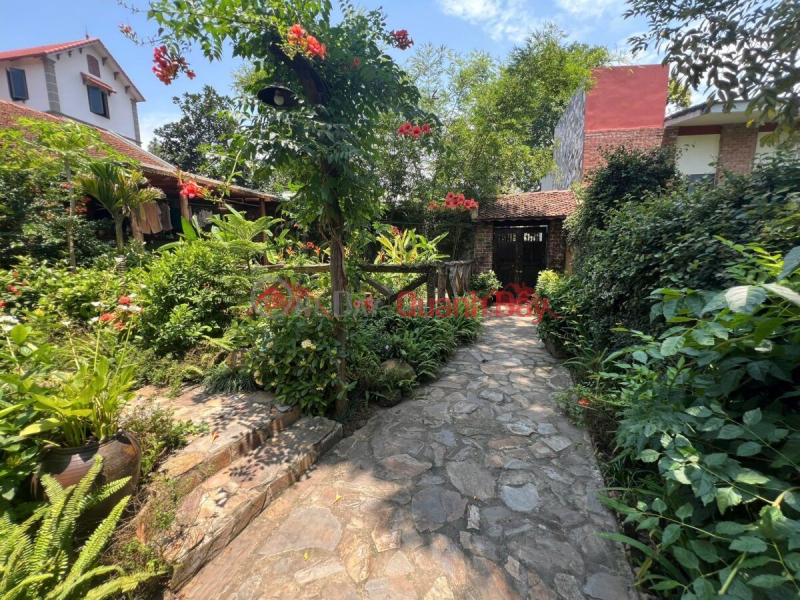 Property Search Vietnam | OneDay | Nhà ở Niêm yết bán, BÁN BIỆT THỰ 275M TẠI ĐỒI HỌA SỸ TIÊN PHƯƠNG-CHƯƠNG MỸ-HÀ NỘI
