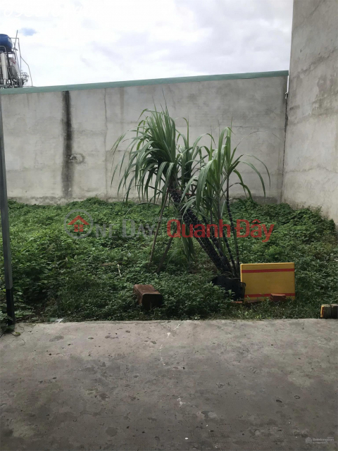 Owner needs money to urgently sell 40.7m2 land plot in My Hanh Nam Commune, Long An, investment price _0