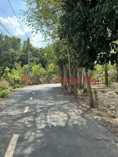 SELL URGENTLY! OWNER Sells Split Plot F0 In Bau Bang, Binh Duong Province, Vietnam Sales đ 1.2 Billion