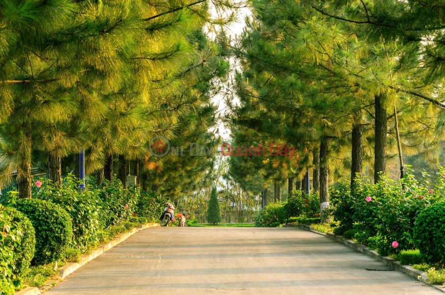 đ 33 Billion | 400m2 detached villa at The Phoenix Garden, Dan Phuong - Capitalizing on the West Thang Long Boulevard and Ring Road 4.