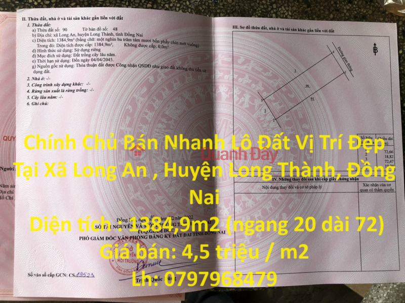 Owner Quickly Sells Lot of Land in Beautiful Location in Long An Commune, Long Thanh District, Dong Nai Sales Listings