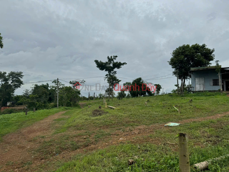 BEAUTIFUL LAND FOR SALE 1HA4 FLAT LAND IN EAPO, CU JUT, DAK NONG - CAR ON THE LAND Sales Listings