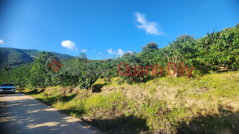 ĐẤT ĐẸP - GIÁ TỐT - Bán Nhanh Lô Đất Vị Trí Đẹp Tại Xã Phi Tô, Huyện Lâm Hà, Tỉnh Lâm Đồng _0