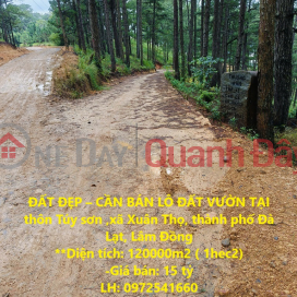 BEAUTIFUL LAND - GARDEN LOT FOR SALE IN Tuy Son village, Xuan Tho commune, Da Lat city, Lam Dong _0