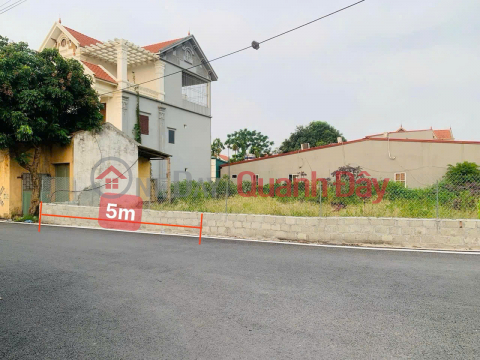 Bán đất Trục Kinh doanh gần ngã tư AB Quán Trạch diện tích 83m mặt tiền 5m giá đầu tư _0