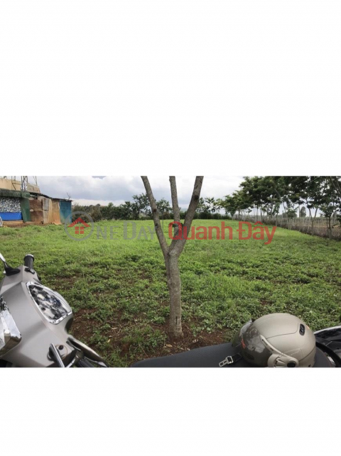 FOR QUICK SALE OF LAND LOT Location At Phu Dong Thien Vuong Street, Lien Nghia Town, Duc Trong, Lam Dong. _0