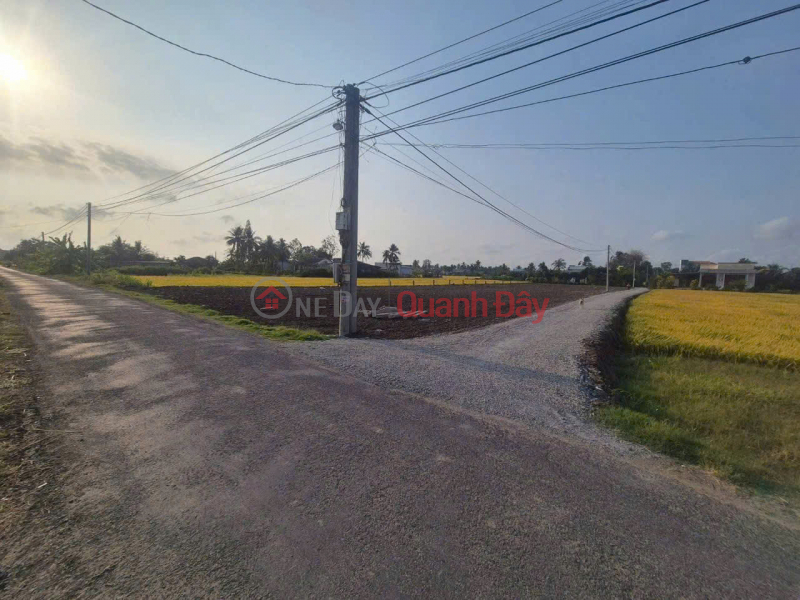 Property Search Vietnam | OneDay | Residential Sales Listings Owner needs to sell land plot in Binh Cach Hamlet, Yen Luong Commune, Go Cong Tay District, Tien Giang Province (formerly).
