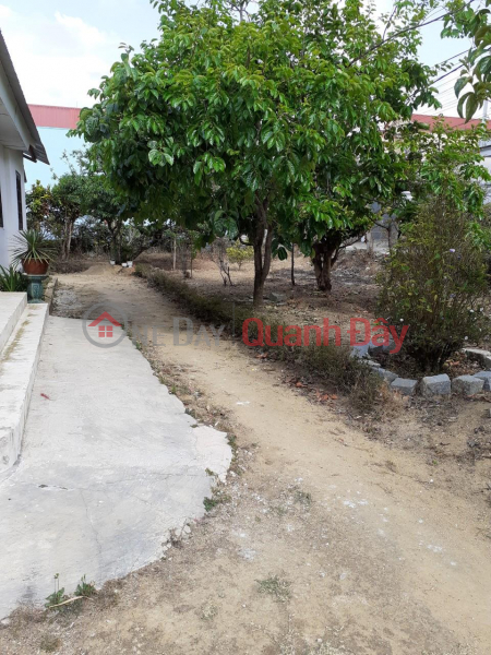 FOR QUICK SELL LAND POT WITH HOUSE in Da Lat city, Lam Dong province Vietnam Sales đ 40 Billion