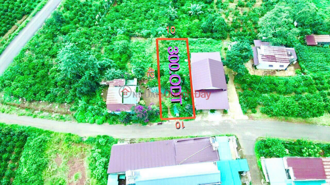 Own a RESIDENTIAL LOT OF LAND - Owner - Beautiful Location - INVESTMENT PRICE In Di Linh - Lam Dong | Vietnam Sales đ 2.95 Billion