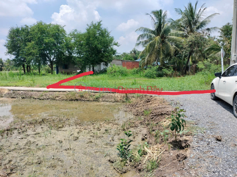 Property Search Vietnam | OneDay | Nhà ở | Niêm yết bán, ĐẤT ĐẸP – GIÁ TỐT – CHÍNH CHỦ CẦN BÁN TẠI Thạnh Phong, Yên Luông, Gò Công Tây, Tiền Giang