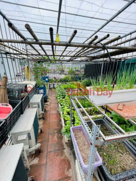 Need Money Urgent Sale! House in Khuong Dinh - Thanh Xuan, Area 35m2, 6 Floors, Beautiful House, Price Negotiable Sales Listings