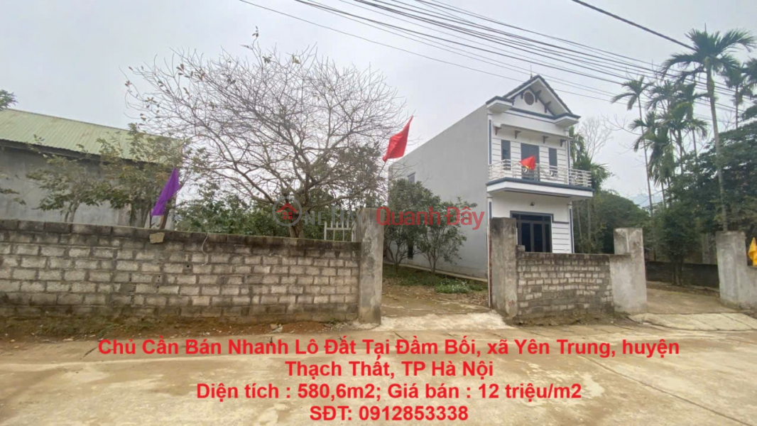 Owner Needs To Quickly Sell A Plot Of Land At Dam Boi, Yen Trung Commune, Thach That District, Hanoi City Sales Listings