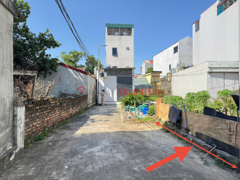 URGENTLY SELLING LAND LOT IN GIA TRUNG VILLAGE (OLD GROUP 7),QUANG MINH – HANOI CITY Sales Listings