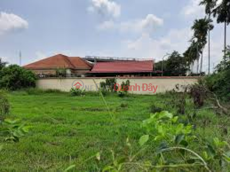 Urgent sale of land plot at 1 set of Phu Thuan street, Phu My Hung commune, Cu Chi district, Ho Chi Minh City | Vietnam Sales | đ 49.5 Billion