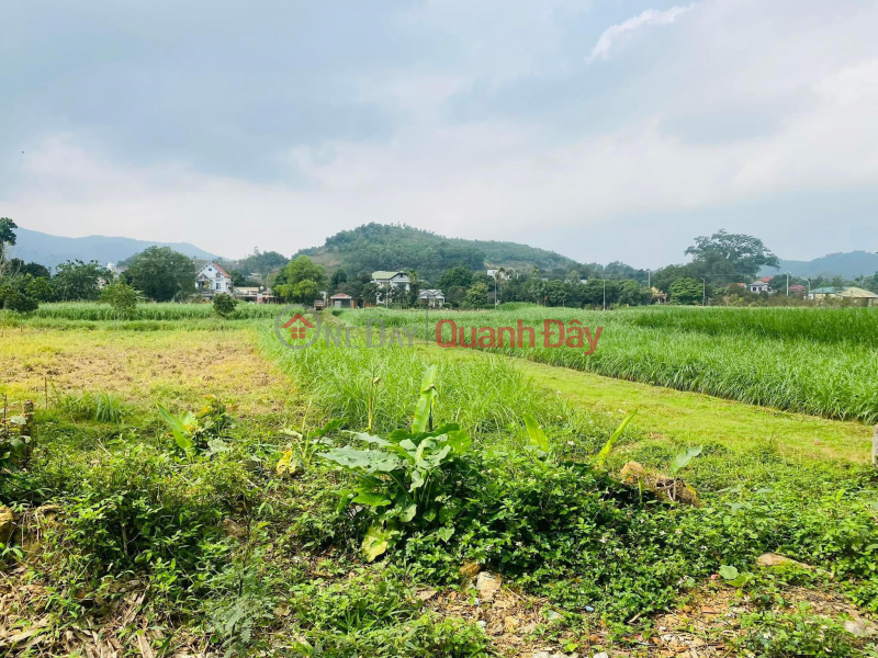 Property Search Vietnam | OneDay | Residential, Sales Listings The owner needs money to sell a plot of land with an area of 914m2 at a loss for just over 2 billion, Address Van Hoa, Ba Vi, Hanoi Contact