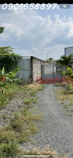 Property Search Vietnam | OneDay | Residential Sales Listings, Owner needs to sell garden house in Tan Buu commune, Ben Luc, Long An, area 1,588m2 (residential land 379m2)