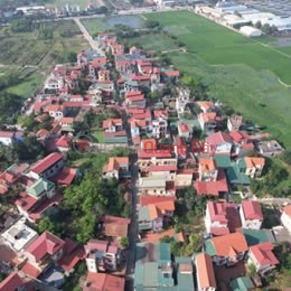 Bán đất Thuận Thành, Bắc Ninh. 65m2 * mt 4m * 3,15 tỷ. ô tô tránh, kinh doanh Việt Nam Bán, đ 3,15 tỷ