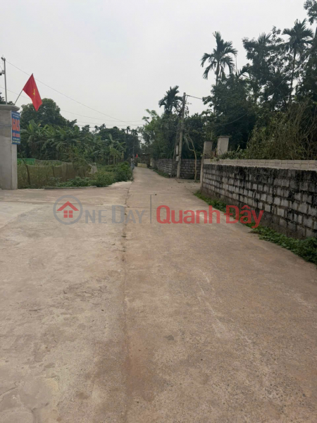 Property Search Vietnam | OneDay | Residential | Sales Listings Two plots of land for sale quickly, adjacent to the auction area in Chinh Ly commune, Ly Nhan district, Ha Nam province.