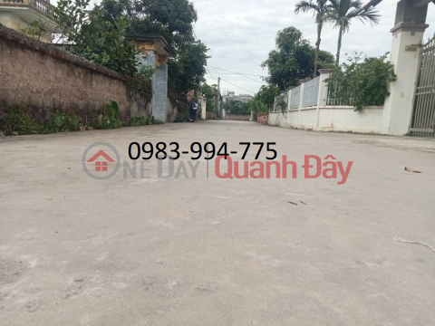 BÁN ĐẤT GIA BÌNH. BẮC NINH . 100M2 * MT 4,5M * 1,65 TỶ. ĐƯỜNG Ô TÔ, FULL THỔ CƯ. _0