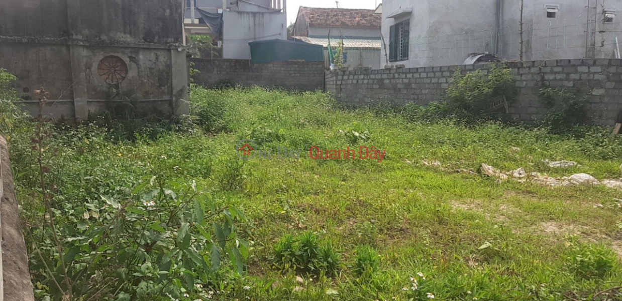 PRICE ONLY 2TY7 TO OWN A LOT OF LAND AT PHU NGHIA INDUSTRIAL PARK-CHUONG MY Sales Listings