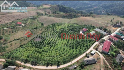 Need to sell a plot of land in a prime location in Chieng Son commune, Moc Chau, with a pink book, area of over 2 hectares, frontage of over _0