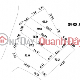 Selling 6 plots of land on Gia Luong Lake (Gia Loc family),Viet Hung commune, Dong Anh, Hanoi, tax free _0