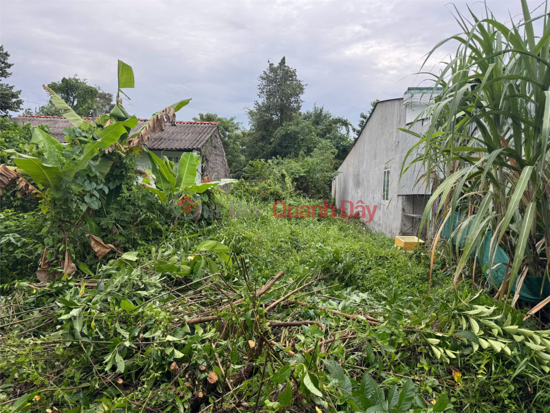 Property Search Vietnam | OneDay | Residential | Sales Listings PRIME LAND - GREAT PRICE - Owner Selling Plot of Land on National Highway 54, Chau Thanh Commune, Vinh Long