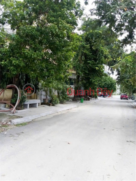Property Search Vietnam | OneDay | Residential, Sales Listings HOT HOT – OWNER NEEDS TO SELL A HOUSE WITH A 6M FRONTAGE at Alley 49B, Le Loi Street, Tan Son Ward, Thanh Hoa City, Thanh Hoa Province