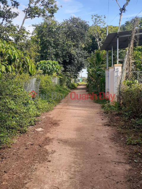 Sale of land plot Mau Than Alley behind the wholesale market _0