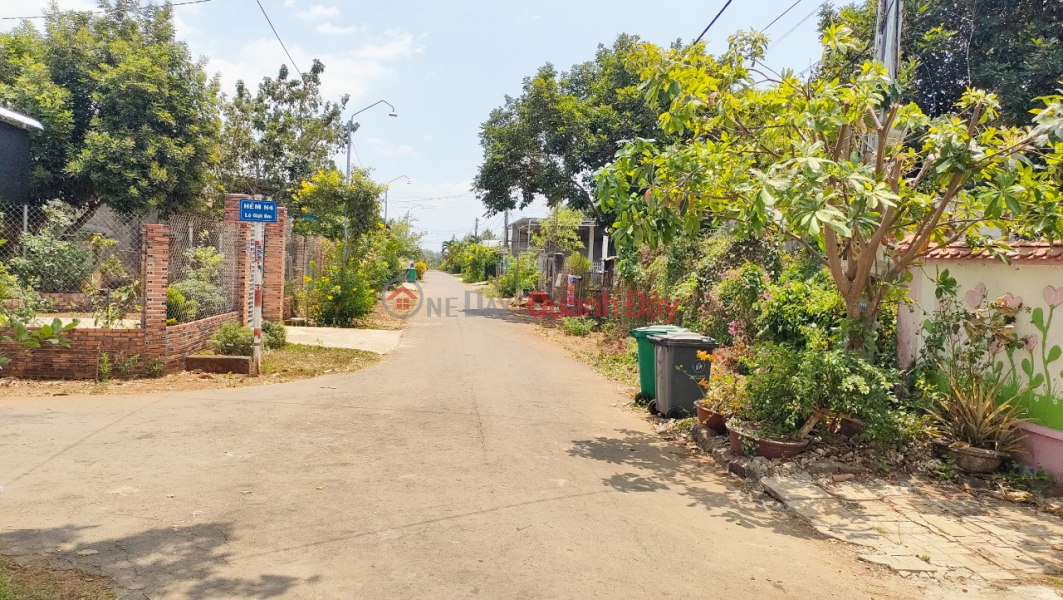Property Search Vietnam | OneDay | Residential Sales Listings Need money, urgently sell house in Xuan Thien commune, Thong Nhat district nearly 300m2 for only 2 billion