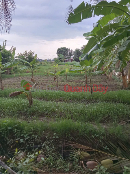 BEAUTIFUL LAND - GOOD PRICE - URGENT SALE Potential Land Lot At Luong Dinh Cua Street, Ward 5, Soc Trang City Sales Listings