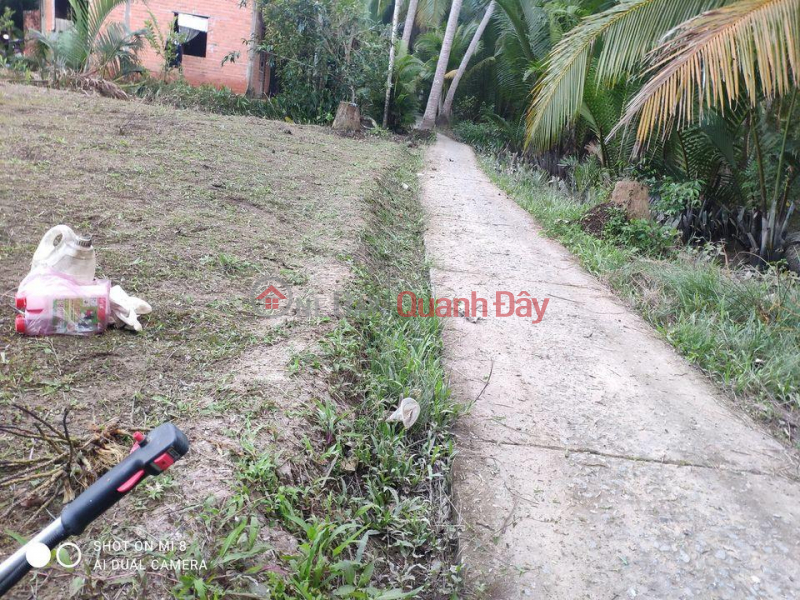 Landlord Urgently Needs Sale Land In Tan Phu Tay Commune - Mo Cay Bac - Ben Tre. Sales Listings