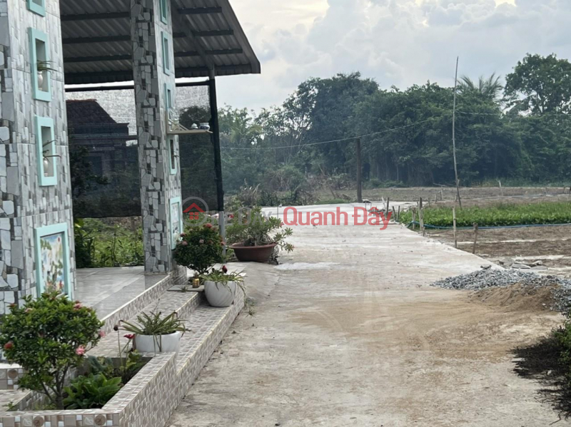 CHÍNH CHỦ BÁN LÔ ĐẤT 2300m2 FULL THỔ CƯ tại Ấp Trong, Phước Hậu, Cần Giuộc, Long An Việt Nam, Bán, đ 8,9 tỷ