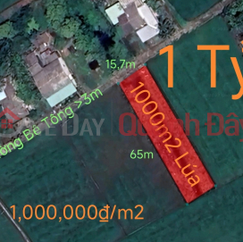 Urgent sale of rice land in Duc Tan commune for 1 billion _0