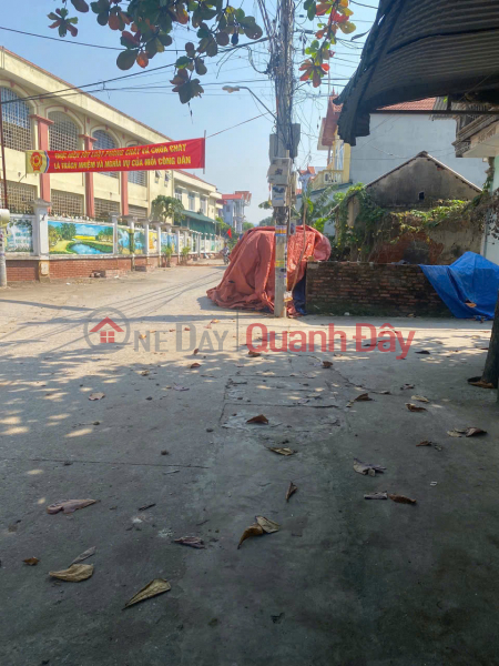 Property Search Vietnam | OneDay | Residential, Sales Listings | Beautiful goods, investment price - Fast racket - 82.5m center of Lam Dien commune, Chuong My - truck road - right next to the center