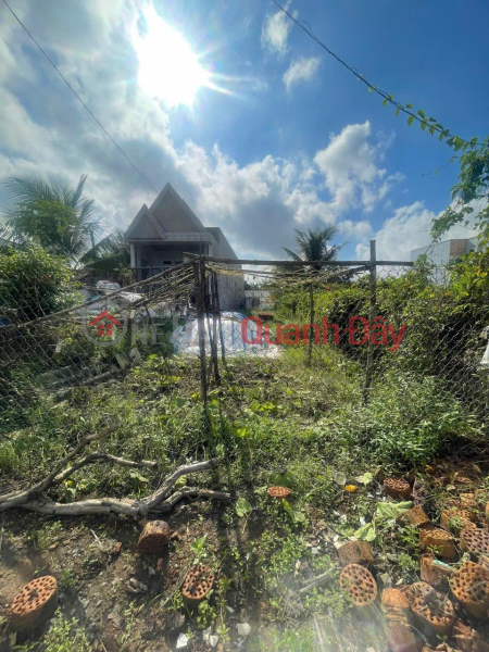 đ 2.2 Billion Owner Needs to Sell Land Lot in Kim Cang 1 Hamlet, Binh Thanh, Thu Thua, Long An