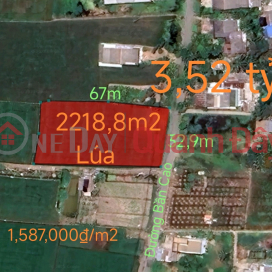 Selling rice land plot for warehouse near National Highway 50B for 3.52 billion _0