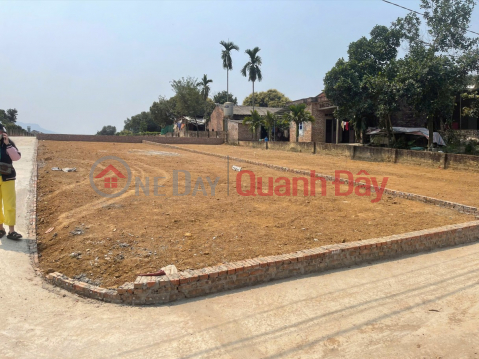Chính chủ bán đất thôn Cẩm An, xã Cẩm Lĩnh, Ba Vì, Hà Nội - 232m2, , thích hợp đầu tư dài hạn _0