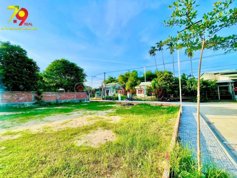 Land plot for sale with owner in Dien Tho commune Vietnam, Sales đ 1.1 Billion