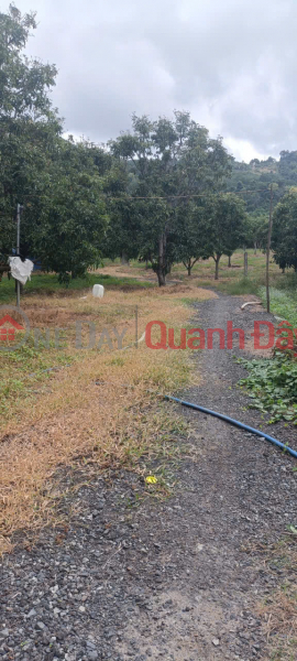 Property Search Vietnam | OneDay | Residential | Sales Listings Garden Land In Lap Dinh Cam Hoa Cam Lam