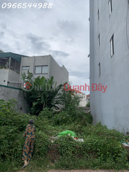 Property Search Vietnam | OneDay | Nhà ở | Niêm yết bán | Bán 59m2 đất mặt phố CỔ LINH - Vỉa hè 6m- MT rộng- Kinh doanh siêu đỉnh