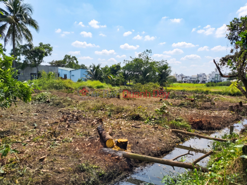 L2282 LAND PLOT IN THANH XUAN 31 - SHOCKING PRICE 4.X BILLION VND! Sales Listings