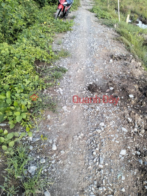 OWNER - FOR SALE Lot of Land in Tan Hung Phuoc Hamlet, Tan Hoa Tay Commune, Tan Phuoc District, Tien Giang _0