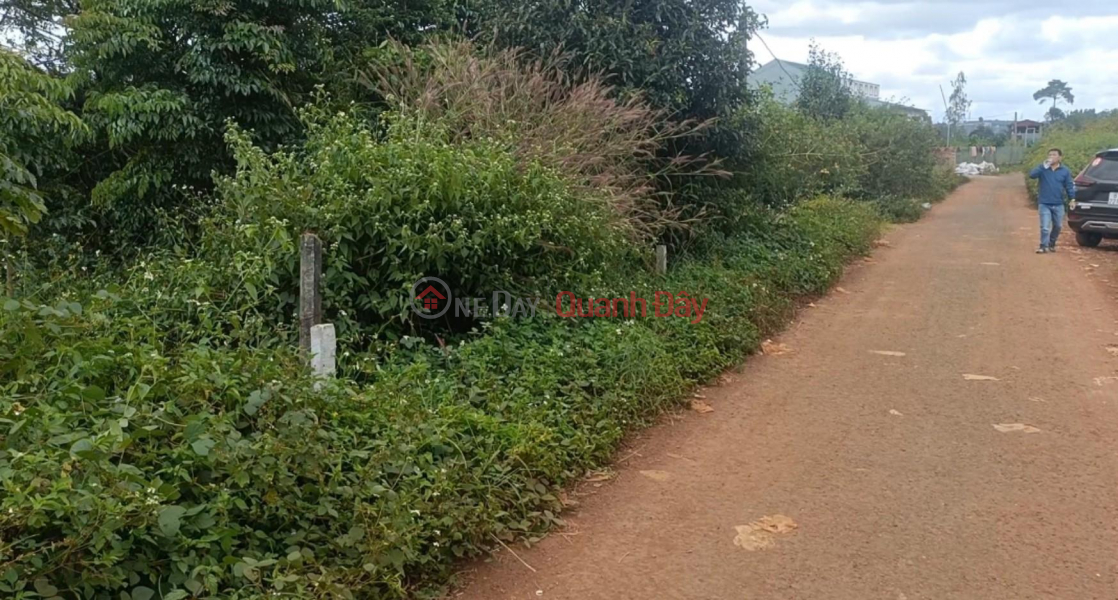Property Search Vietnam | OneDay | Residential | Sales Listings | OWNER Urgently Needs To Sell Land Lot - Extremely Cheap Price In Brel Village, Ia Der Commune, Ia Grai District, Gia Lai