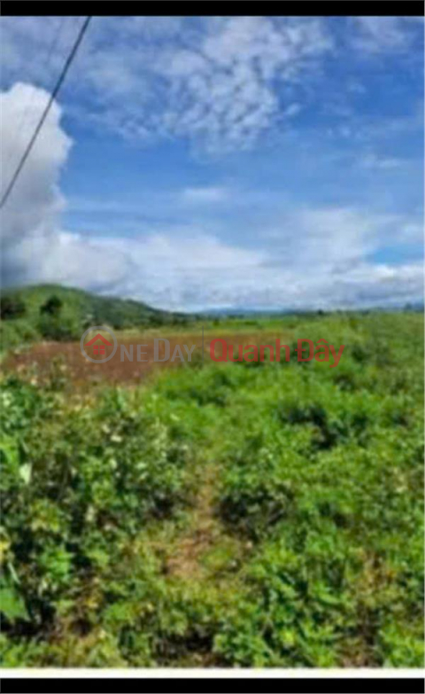 PRICE REDUCED FROM 2.6 BILLION TO SELLING 1 billion 850 million - 2 sao of garden land, group 32, Lien Nghia - Duc Trong - Lam Dong _0