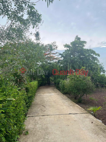 Property Search Vietnam | OneDay | Nhà ở | Niêm yết bán, CHÍNH CHỦ Cần Bán Gấp Đất Tại xã Long Tân, huyện Đất Đỏ, tỉnh Bà Rịa - Vũng Tàu