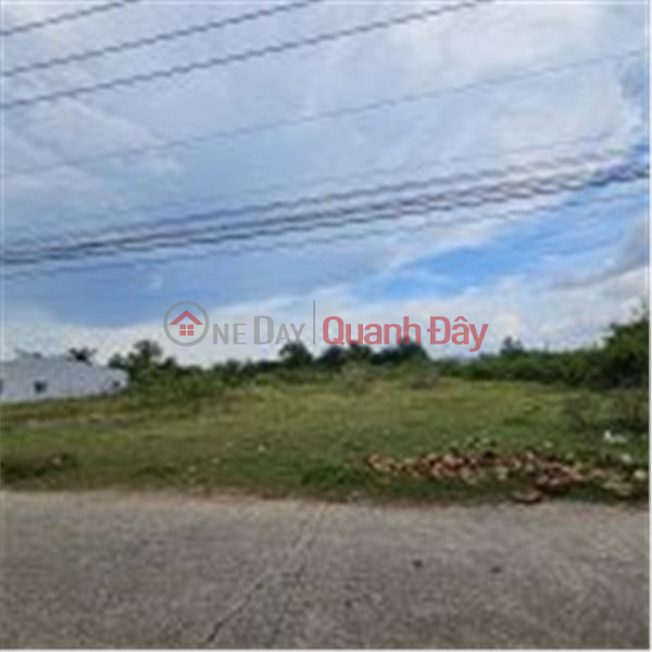 ₫ 65 Billion | BEAUTIFUL LAND - GOOD PRICE - For Quick Sale Land Lot Prime Location In Long Truong Ward, District 9