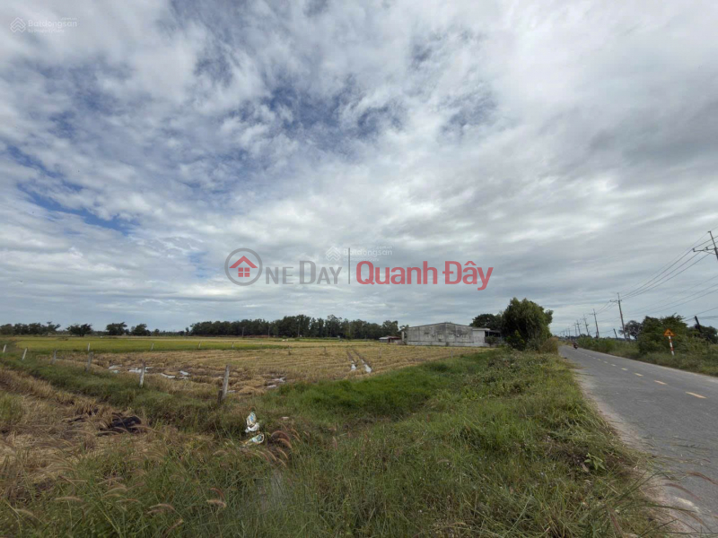 ĐẤT ĐẸP - GIÁ TỐT - Bán Nhanh Tại ấp Phước Đông xã Long Chữ tỉnh Tây Ninh (trước là xã Long Phước huyện Bến, Việt Nam | Bán, đ 1,38 tỷ