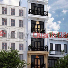 6 tầng thang máy đấu giá Ngô Thì Nhậm Hà Đông. _0